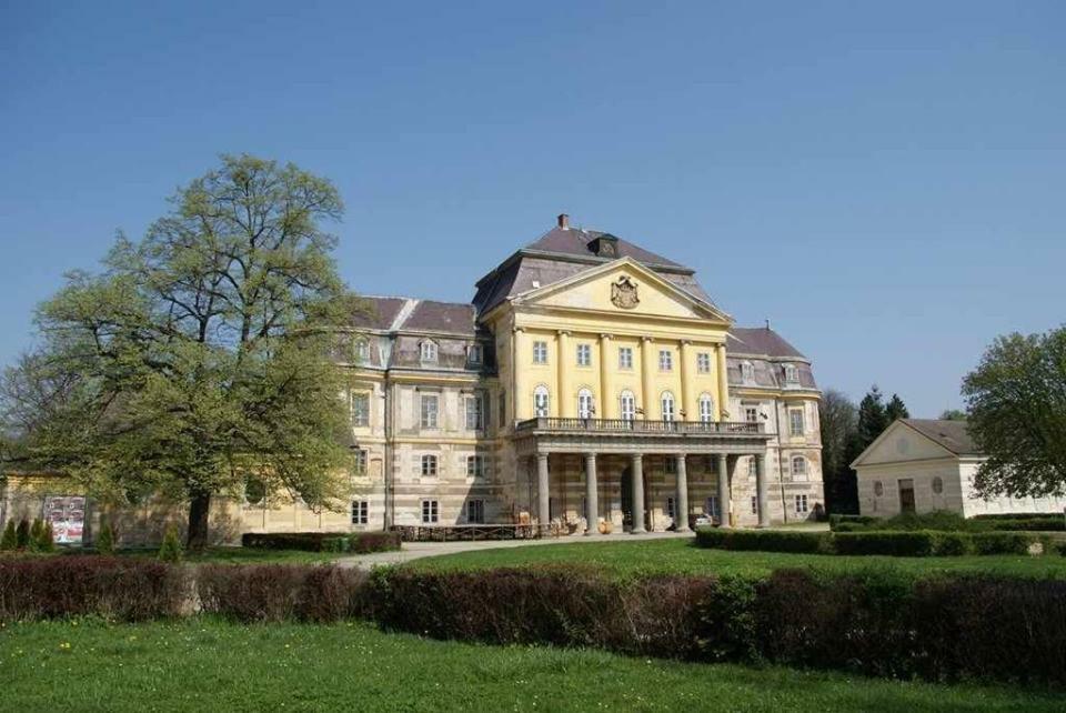 Kutny Residence -Chateau Schaal Hegyhatsal Exterior foto